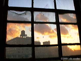 Glyph studio window view
