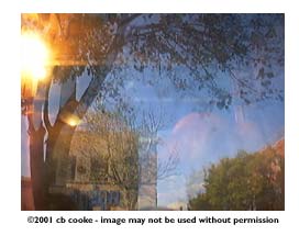 fall window - &copy;2001 cb cooke - image may not be used without permission