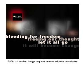 freedom- &copy;2001 cb cooke - image may not be used without permission
