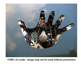 les-hand-partial - &copy;2001 cb cooke - image may not be used without permission