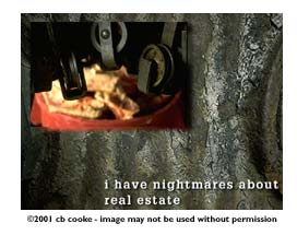 real estate nightmares - &copy;2001 cb cooke - image may not be used without permission